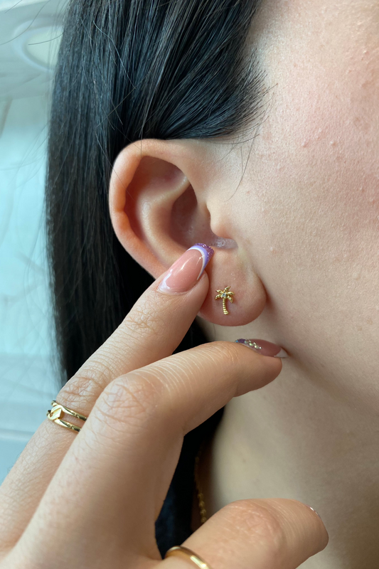 Topo palmera. Ref:1056